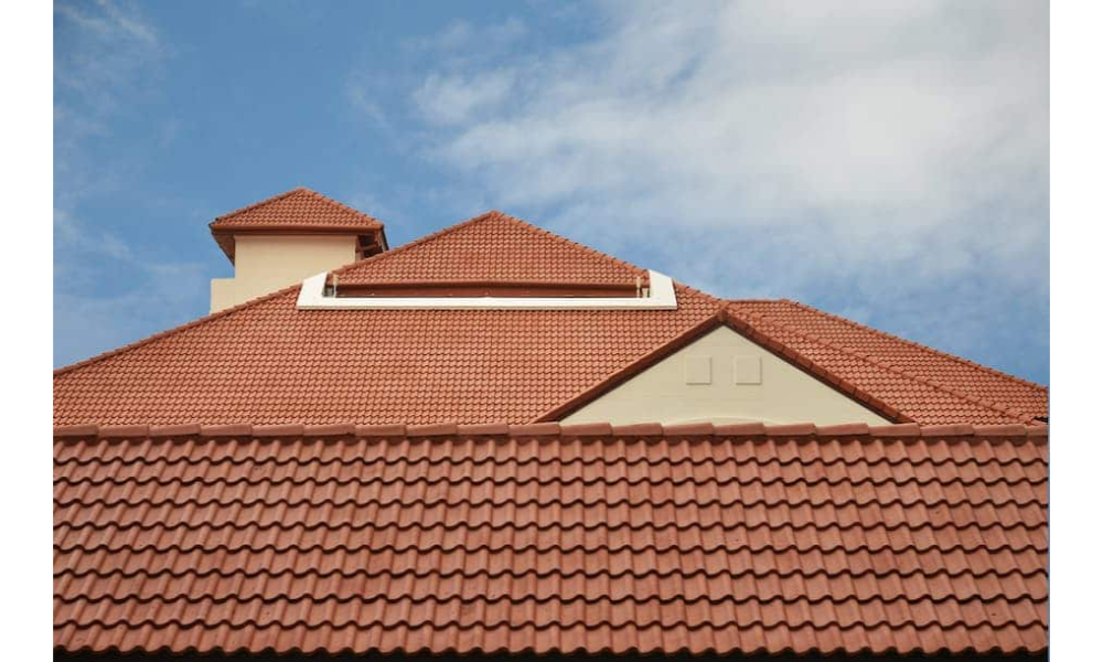 Professional Roofing Services